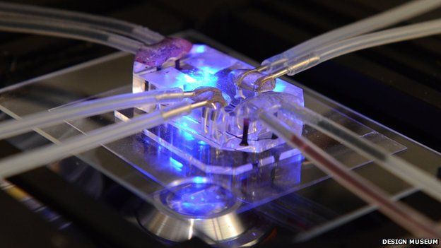 Organs On Chip